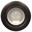 12v downlight Satin Chrome