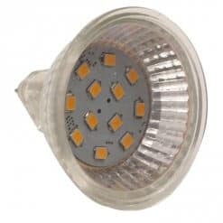 MR16 12 LED Spotlight style bulb